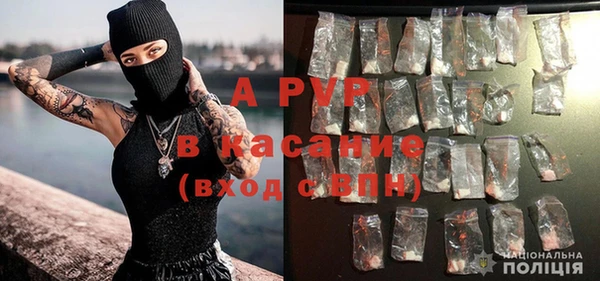 PSILOCYBIN Дмитровск